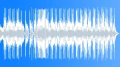 Cowboy's Harmonica (60 sec)Stock Music