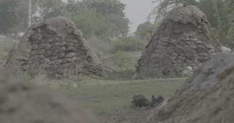 Cowdung Cakes Video stock 112395830