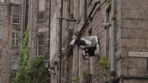 Cowgate in Edinburgh city the famous split cow ornament Vídeos de archivo 221689660