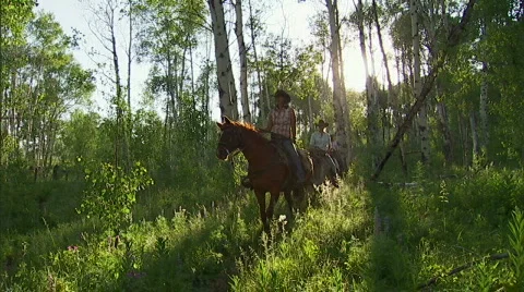 Cowgirls Western Lifestyle Aspens 59.94 Stock Footage