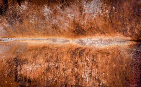 Cowhide Background Pattern. Stock Photos