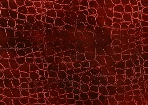 Cowhide Stock Photos