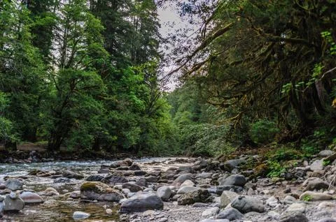 The Cowlitz River Stock Photos