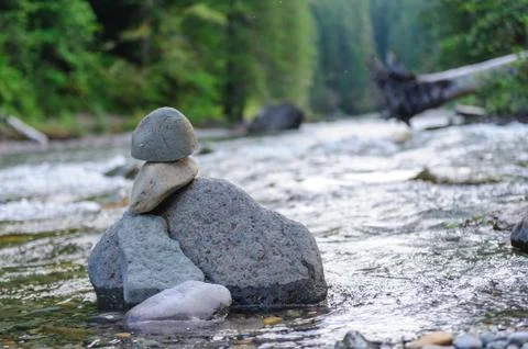 The Cowlitz River Stock Photos