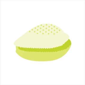 Cowry shells illustration isolated on white background. Stock Illustration