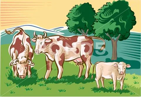 Cows and calf in the pasture Stock Illustration