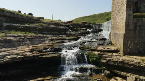 Cows drink in the waterfall next to the old mills Stock Footage 166199363