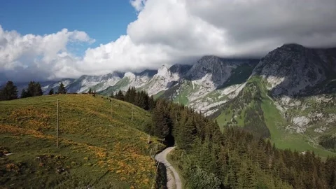 Cows eating grass on alpine meadow, aerial landscape of Alps in summer Stock Footage 134841087