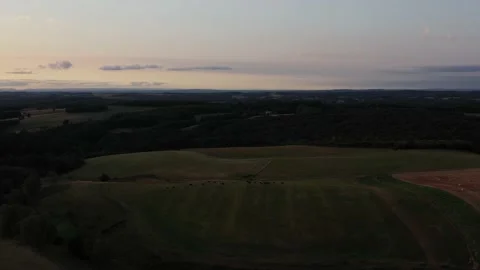 Cows eating in a meadow, in front of a backdrop of mountains Stock Footage 144828234
