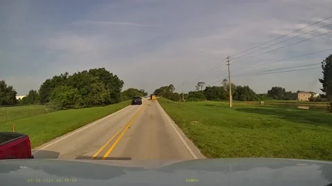 Cows Fall Out Of Trailer On Roadway, Kissimmee, Florida, USA - 30 May 2023 Stock Footage 244396422