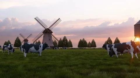 Cows in the field in front of windmill and tank tower Stock Footage 223610796