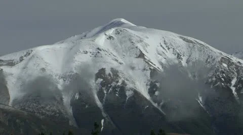 Cows Video stock 11117210