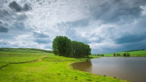 Cows graze on the lake Stock Footage 57780889