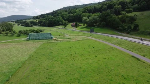 Cows graze in the meadow by the road Stock Footage 155892169