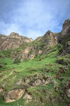 Cows graze on slopes of Alpine mountains. Beautiful georgian landscape Stock Photos