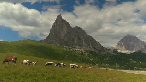 Cows graze under huge mountain in the alps Stock Footage 96772210