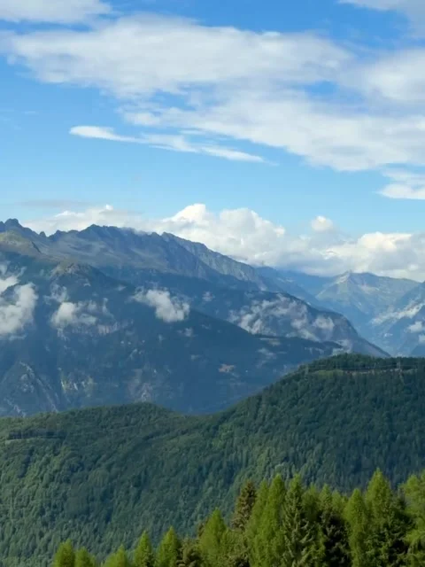 Cows Grazing on Alpine Mountain Meadow Stock Footage 340869815