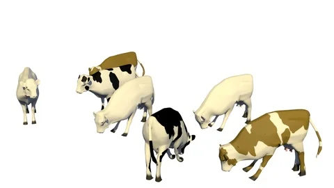 COWS GRAZING AXO VIEW A Vídeos de archivo 101482182