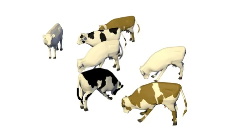 COWS GRAZING AXO VIEW J Vídeos de archivo 101484346