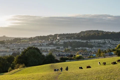 Cows grazing on Bath hillside at sunset, timelapse video Stock Footage 95242575