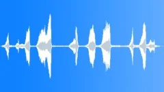 Cows Grazing MooingSound Effect