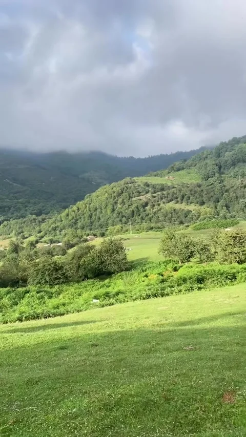 Cows Grazing on Pasture Overlooking Hillside Mountain Village Vidéo 339880731