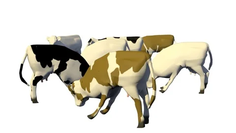 COWS GRAZING SIDE VIEW B Vídeos de archivo 101484547