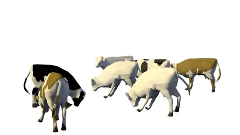 COWS GRAZING SIDE VIEW C Vídeos de archivo 101484345