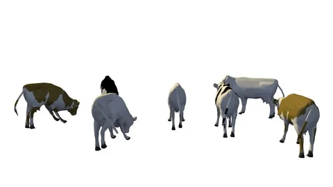 COWS GRAZING SIDE VIEW Vídeos de archivo 101486580