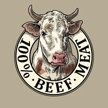 Cows head. 100 % beef meat lettering. Vintage vector engraving Stock Illustration