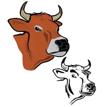Cow's head Stock Illustration