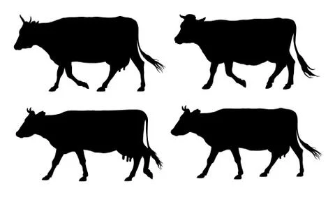 Cows Stock Illustration