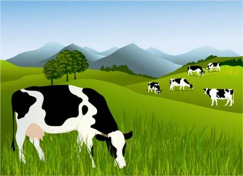 Cows Stock Illustration