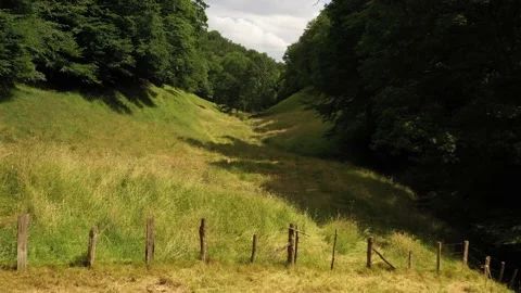 Cows lying at the bottom of a valley 2 Video stock 144759545