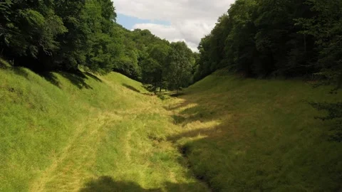 Cows lying at the bottom of a valley Video stock 144758026