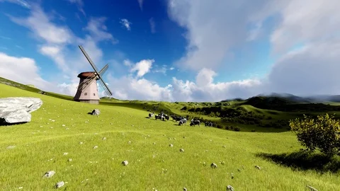 Cows on the meadow and old windmill Stock Footage 95696302