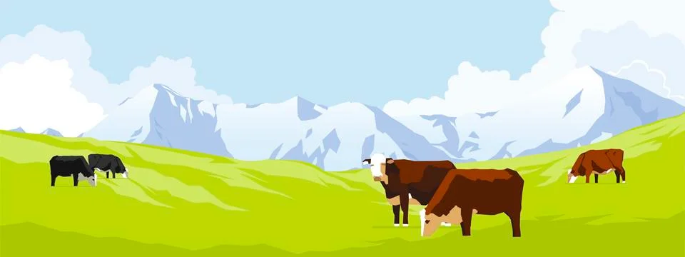 Cows in a meadow Stock Illustration