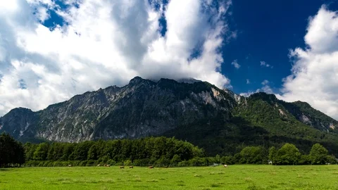 Cows, meadow, mountain and clouds Timelapse 4K Stock Footage 95719716