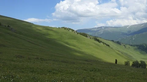 Cows on pasture in the mountains 스톡 동영상 112650491