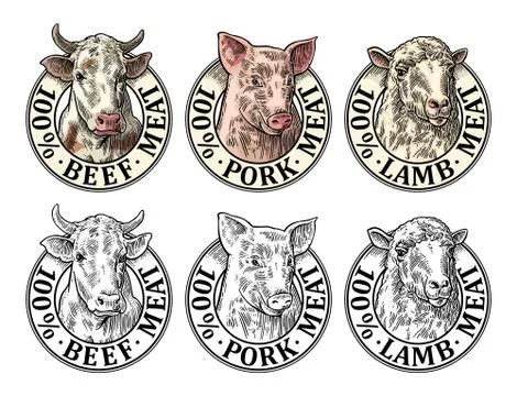 Cows, pig, sheep head. 100 percent beef pork lamb meat lettering. Vintage vec Stock Illustration