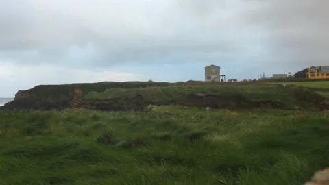 Cows playing near a tiny, abandoned house near the Cantabrian coast Stock Footage 236941261