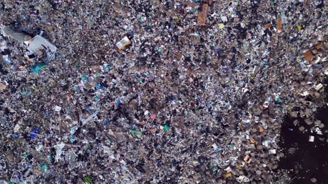Cows at rubbish dump landfill polluting on a island. Amazing aerial view drone Stock-Footage 344598721