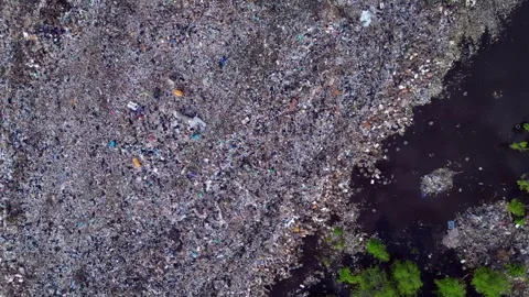 Cows at rubbish dump landfill polluting on a island. Smooth aerial view drone Stock-Footage 344603021