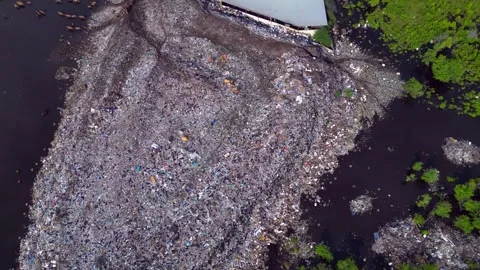 Cows at rubbish dump landfill polluting on a island. Dramatic aerial view drone Stock-Footage 344603592
