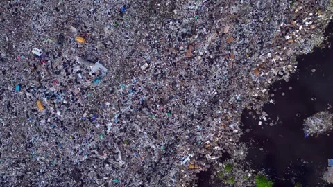 Cows at rubbish dump landfill polluting on a island. Unique aerial view drone Stock-Footage 344611634