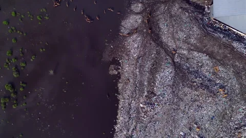 Cows at rubbish dump landfill polluting on a island. Best aerial view drone Stock-Footage 344614829