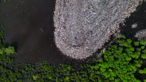 Cows at rubbish dump landfill polluting on a island. Nice aerial view drone Stock-Footage 344615470
