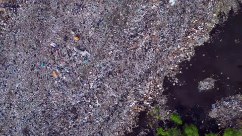 Cows at rubbish dump landfill polluting on a island. Perfect aerial view drone Stock-Footage 344619346