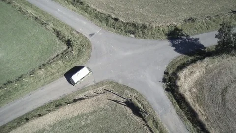 Cows running on a meadow, gathering together, Aerial view. (Top shot, in UHD 4k) Stock Footage 72513346
