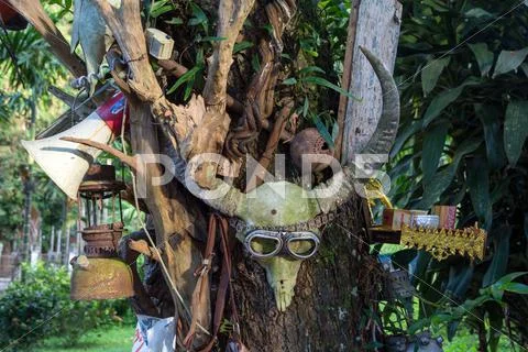 Cow's scull with motorcycle googles Stock Photos